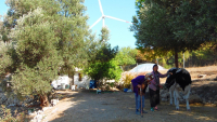 ABK Cesme Wind energy project