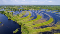 River landscape Polesia