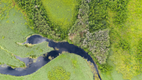 River landscape Polesia