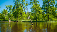 Protest against E40 waterway