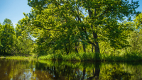 Protest against E40 waterway