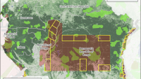 Congo: oil and gas blocks overlap with protected areas