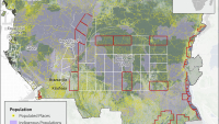 Congo: oil and gas blocks overlap with indigenous populations