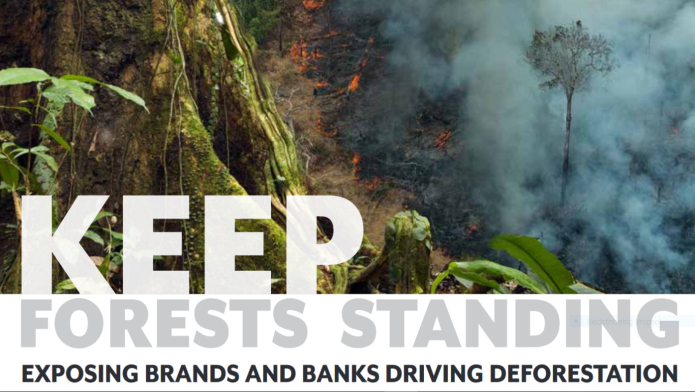 New Report Profiles Major Brands And Banks Driving Deforestation And Human Rights Abuses Failing To Meet 2020 Commitments Banktrack