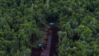 Drainage of peatland forest inside a PT. Riau Andalan Pulp & Paper (PT RAPP) pulpwood concession on Pulau Pedang, Riau Province.05/20/2014  11'53