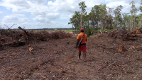 Deforestation at the project site