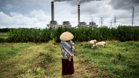 A shepherdess watches over her flock of sheep that graze near a coal power plant in Jepara, Central Java
