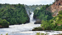 Murchison falls on the Nile 