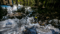  Oil sheens on the surface of the Marañón River in the northern Peruvian Amazon. Within six months of 2013, five separate spills resulted from breaks in Petroperú’s North Peruvian pipeline. The company has declared the site “remediated.”